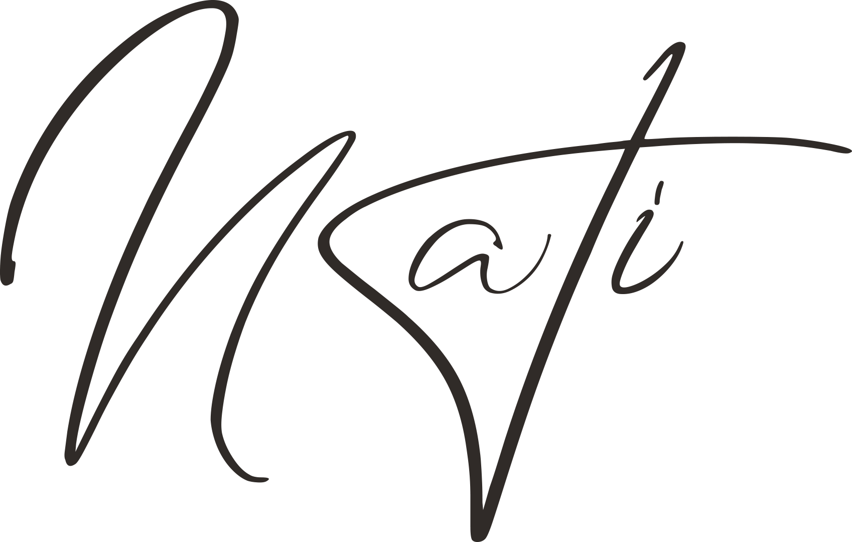 NATI - logo couleur